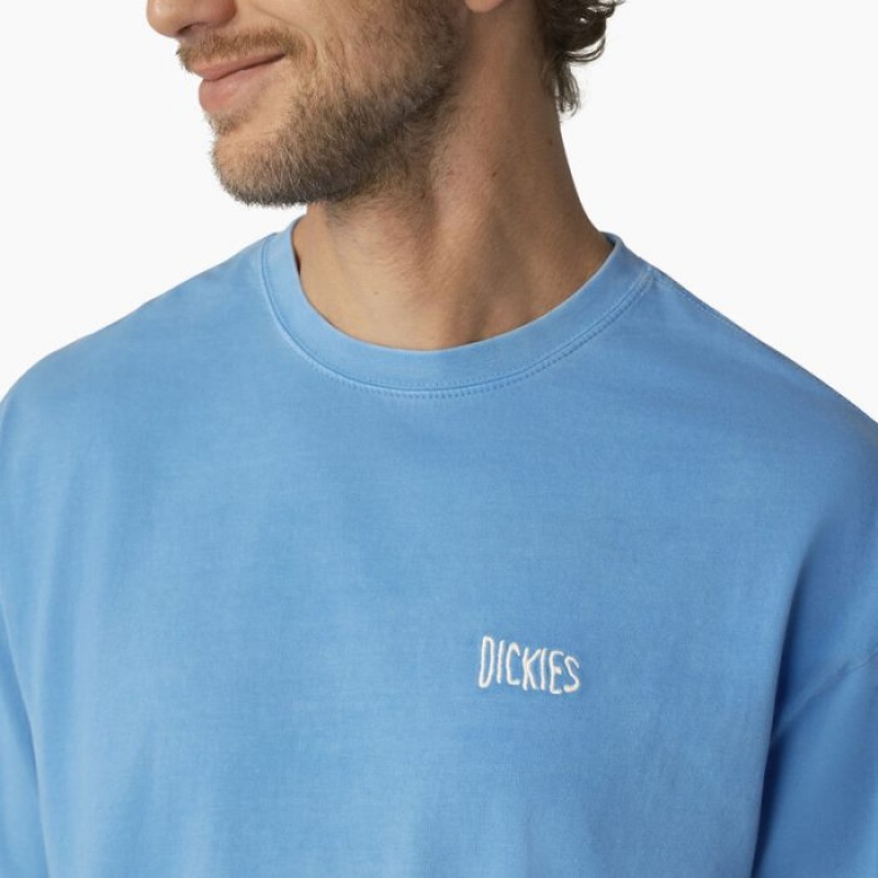 Dickies Bandon Scurte Sleeve T-Shirt Azur Albastri Albastru Deschis | GHKE0350