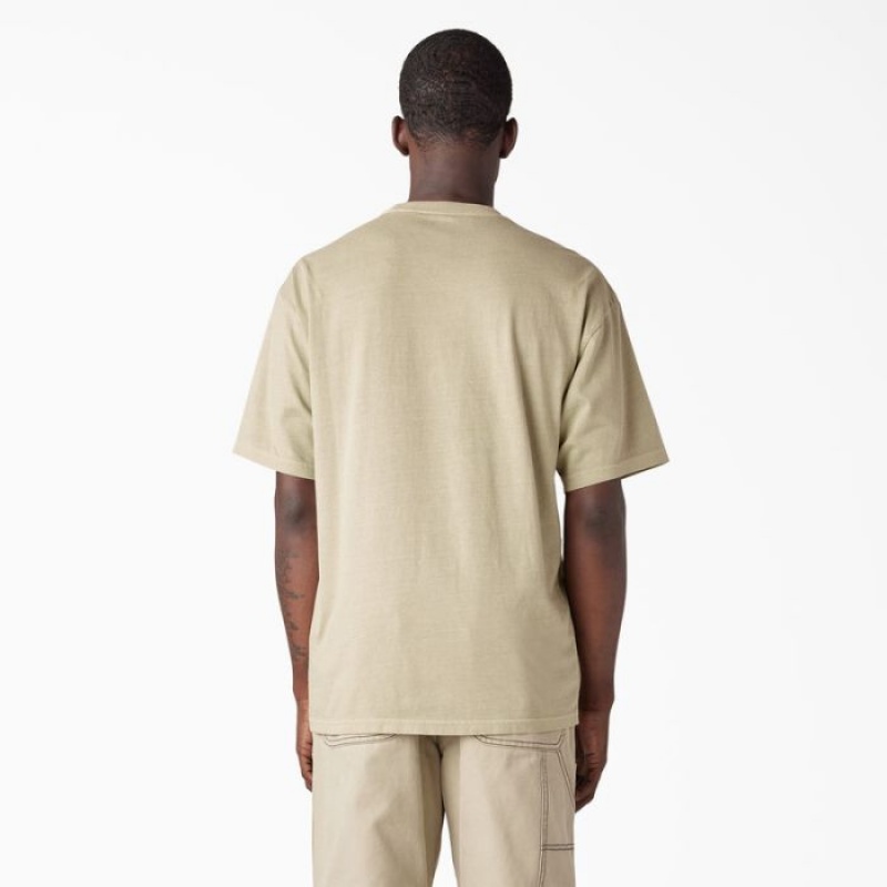 Dickies Bandon Scurte Sleeve T-Shirt Maro Albastru Deschis | JGGF4310