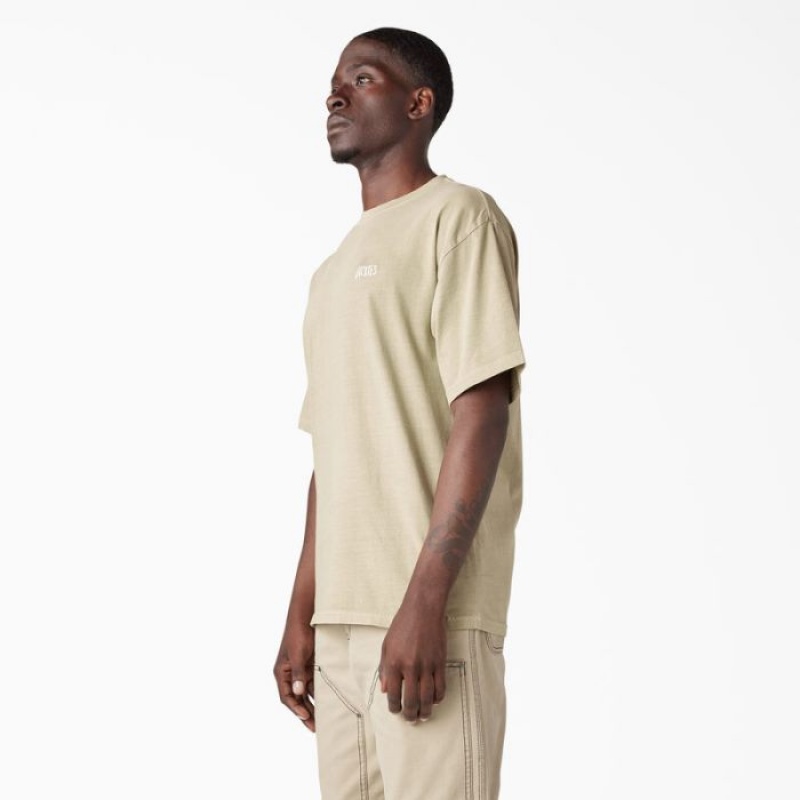 Dickies Bandon Scurte Sleeve T-Shirt Maro Albastru Deschis | JGGF4310