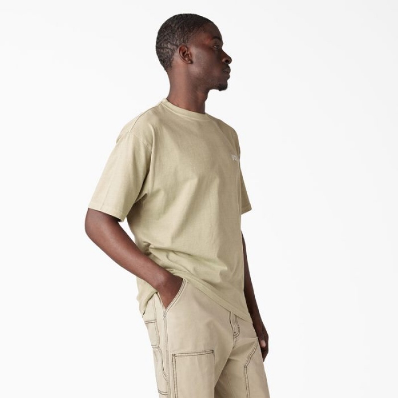 Dickies Bandon Scurte Sleeve T-Shirt Maro Albastru Deschis | JGGF4310