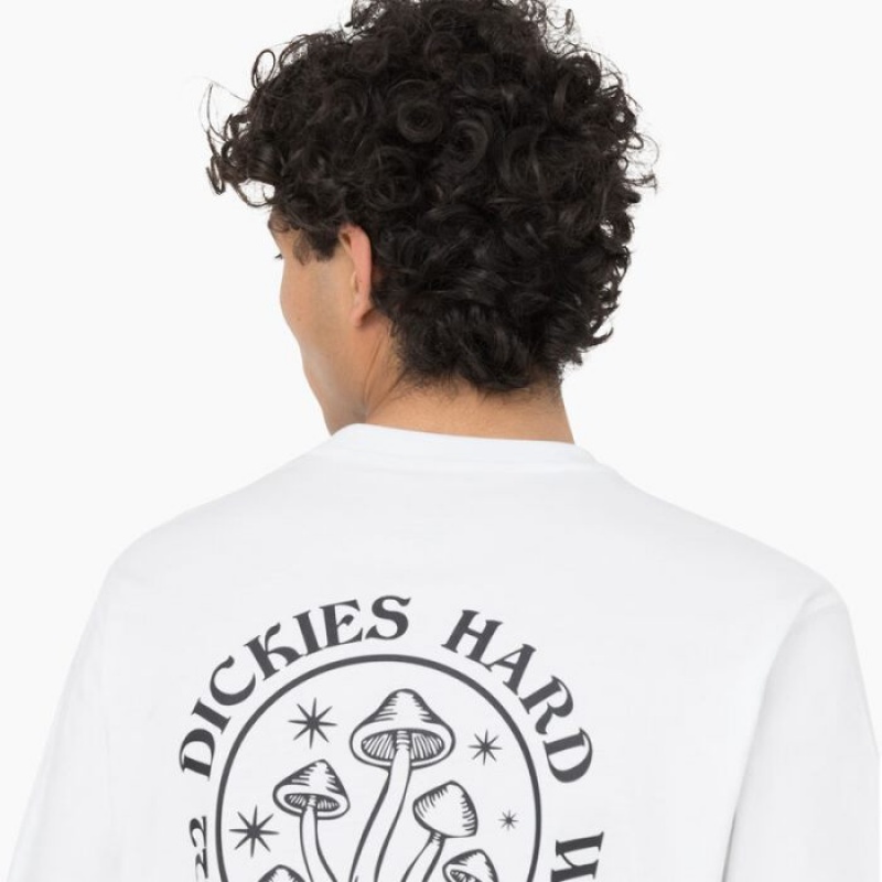 Dickies Bayside Gardens Scurte Sleeve T-Shirt Albi | OCKM2763