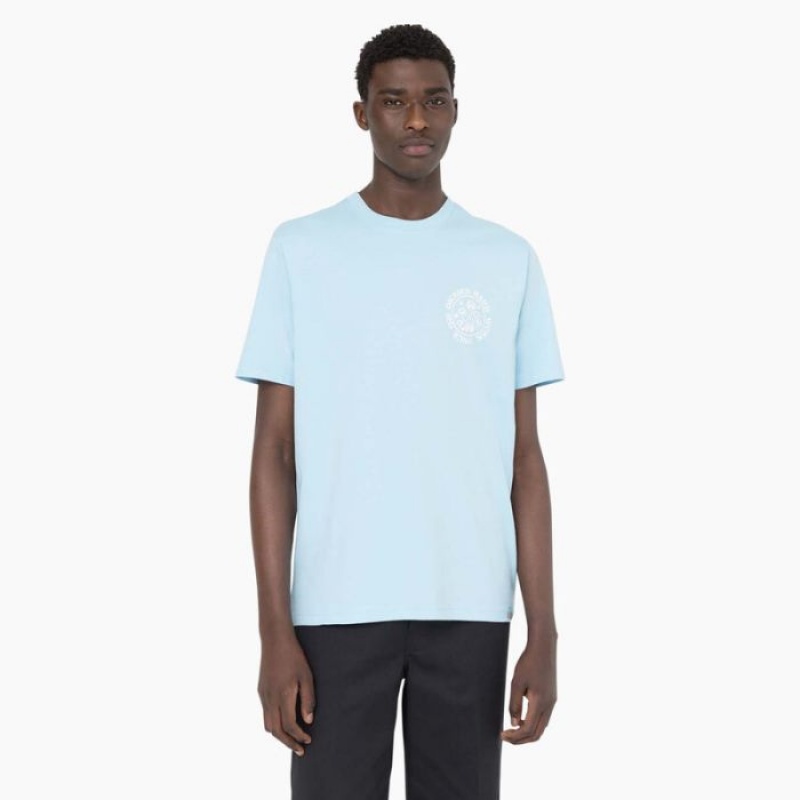 Dickies Bayside Gardens Scurte Sleeve T-Shirt Albastri | QOUG3124
