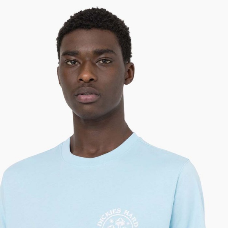 Dickies Bayside Gardens Scurte Sleeve T-Shirt Albastri | QOUG3124
