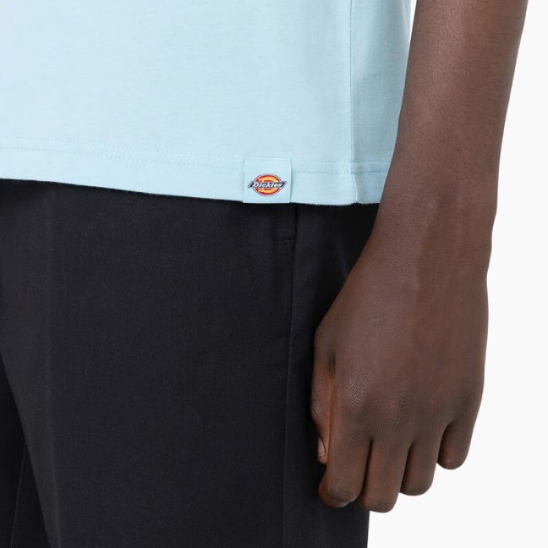 Dickies Bayside Gardens Scurte Sleeve T-Shirt Albastri | QOUG3124