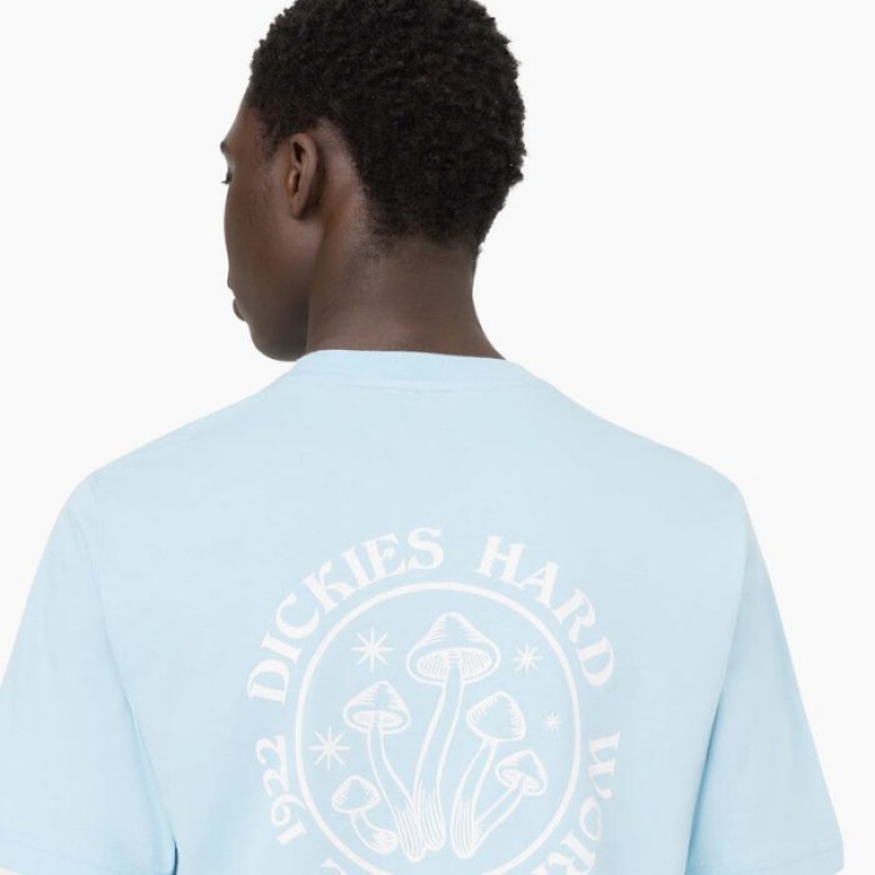 Dickies Bayside Gardens Scurte Sleeve T-Shirt Albastri | QOUG3124