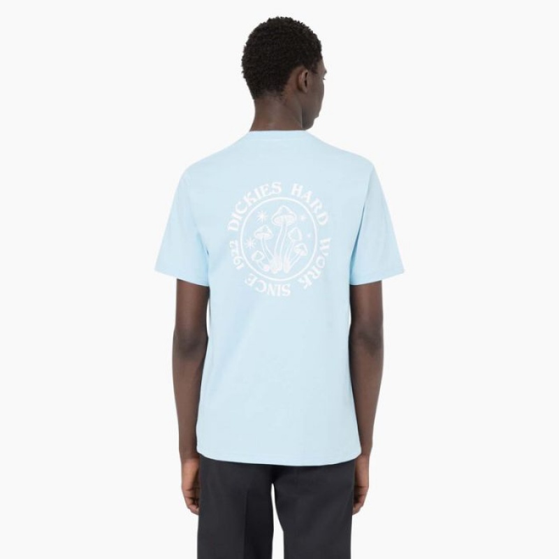 Dickies Bayside Gardens Scurte Sleeve T-Shirt Albastri | QOUG3124