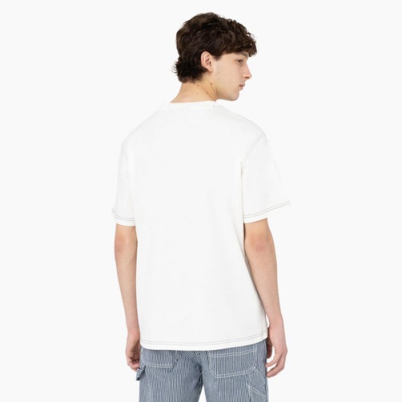 Dickies Beavertown Scurte Sleeve T-Shirt Cloud | OZHZ6324