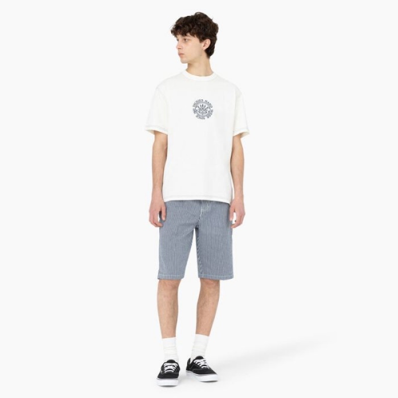 Dickies Beavertown Scurte Sleeve T-Shirt Cloud | OZHZ6324