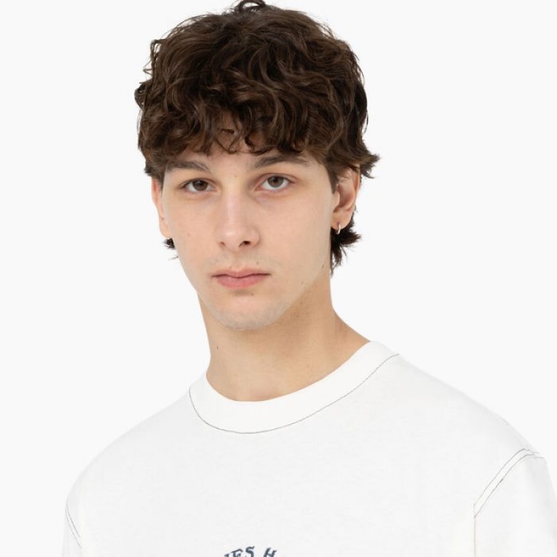 Dickies Beavertown Scurte Sleeve T-Shirt Cloud | OZHZ6324