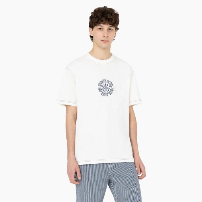 Dickies Beavertown Scurte Sleeve T-Shirt Cloud | OZHZ6324