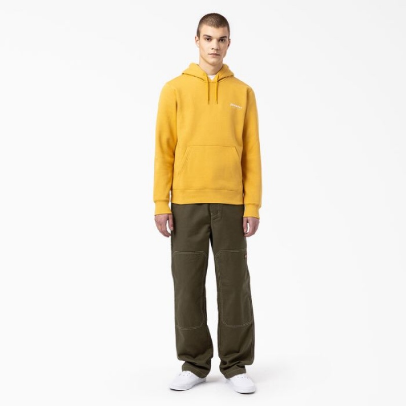 Dickies Camden Box Grafice Hoodie Regular | UQEM4427