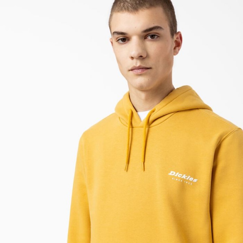 Dickies Camden Box Grafice Hoodie Regular | UQEM4427