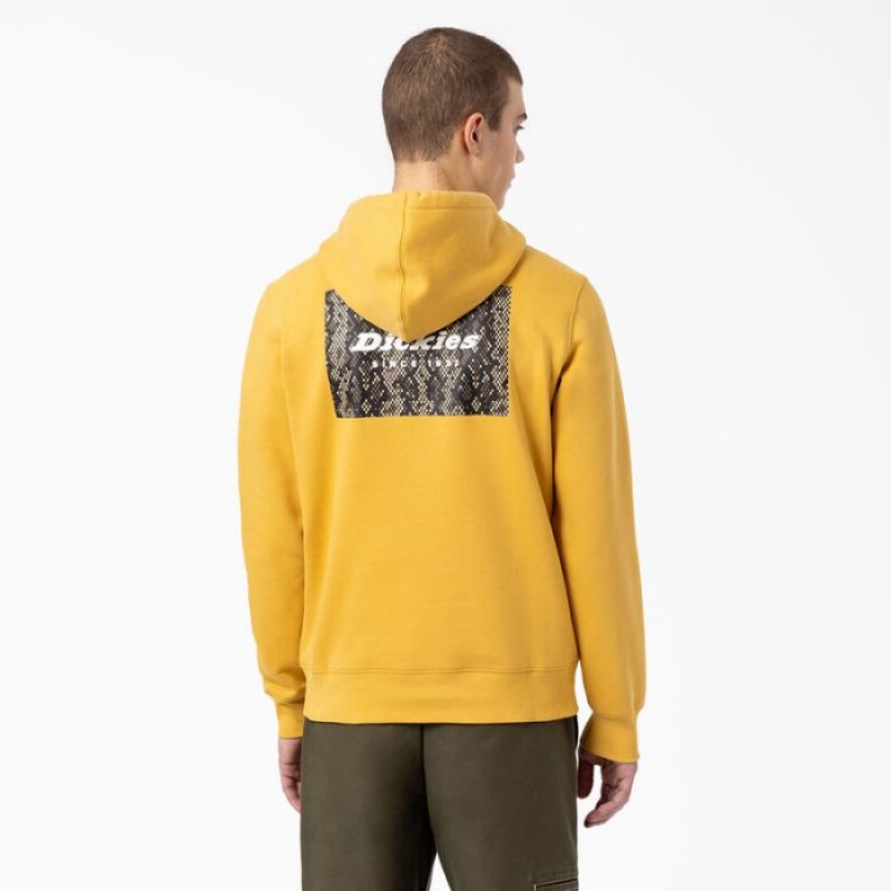 Dickies Camden Box Grafice Hoodie Regular | UQEM4427