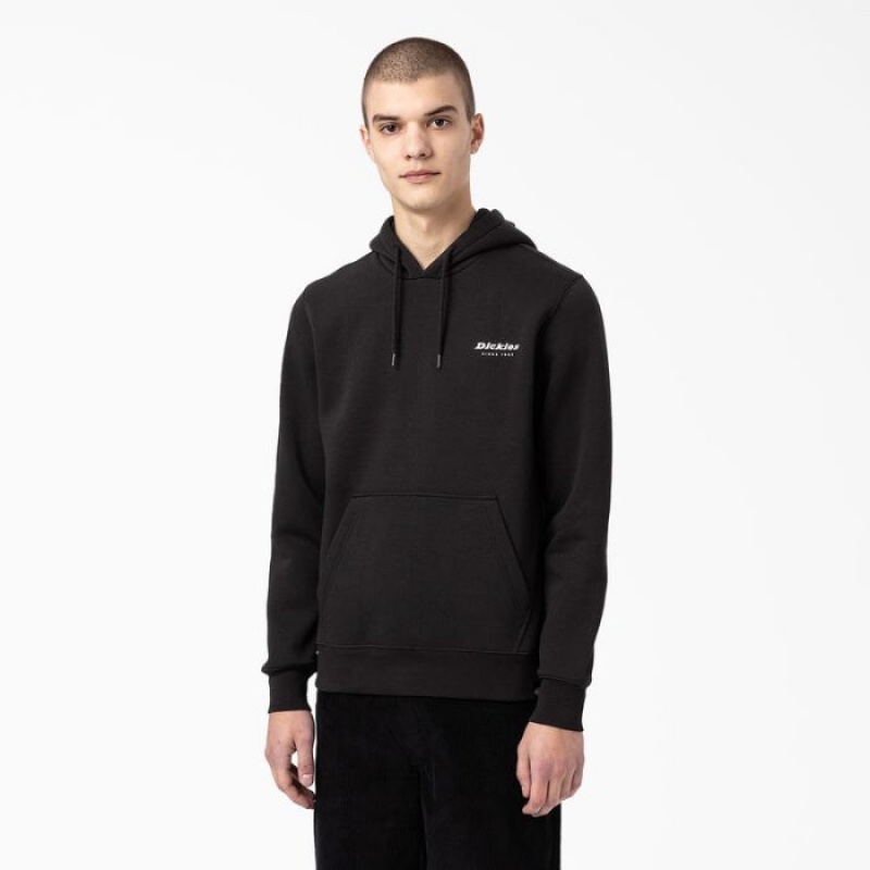 Dickies Camden Box Grafice Hoodie Regular | LRIP0151