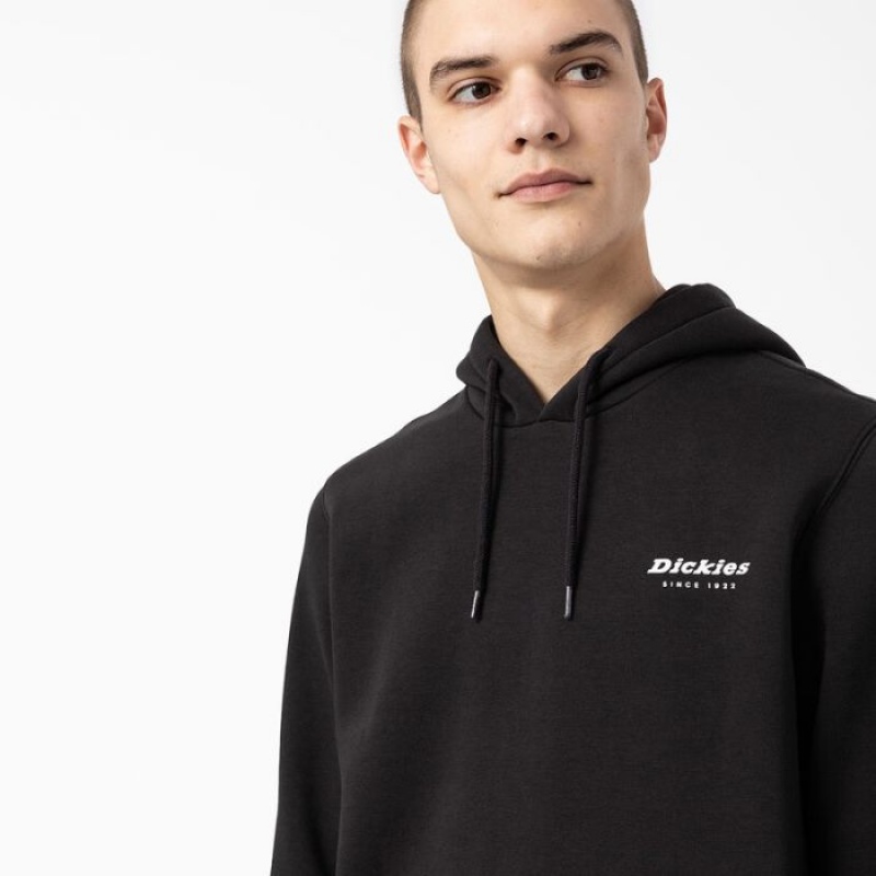 Dickies Camden Box Grafice Hoodie Regular | LRIP0151