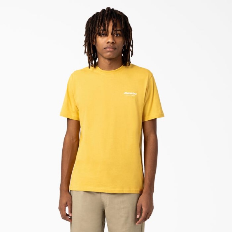 Dickies Camden Box Grafice T-Shirt Aurii | PRVD4876