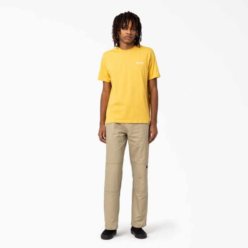 Dickies Camden Box Grafice T-Shirt Aurii | PRVD4876