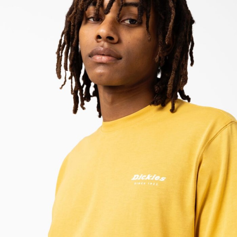 Dickies Camden Box Grafice T-Shirt Aurii | PRVD4876