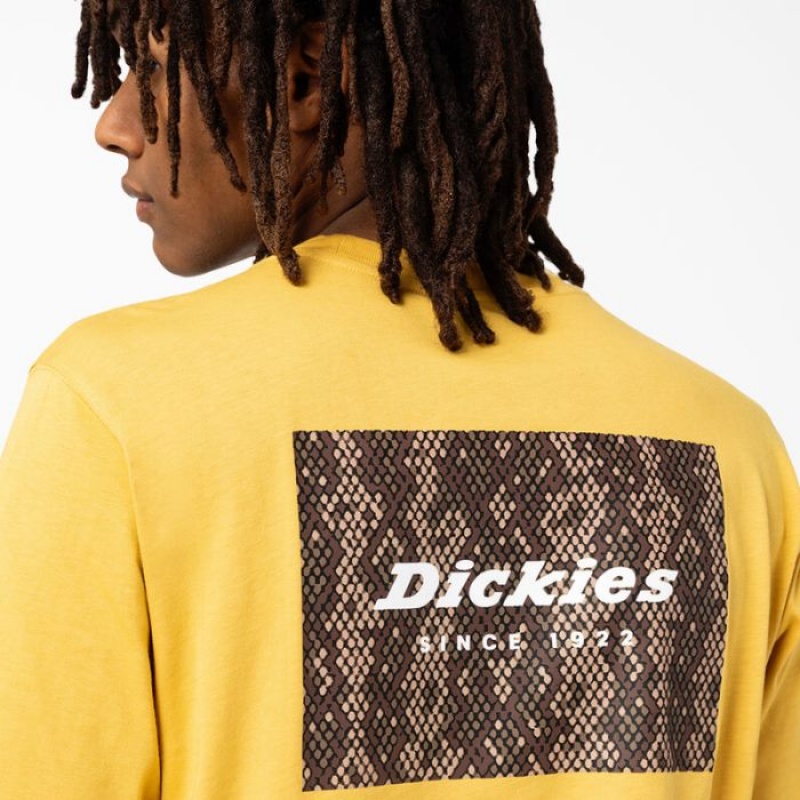 Dickies Camden Box Grafice T-Shirt Aurii | PRVD4876
