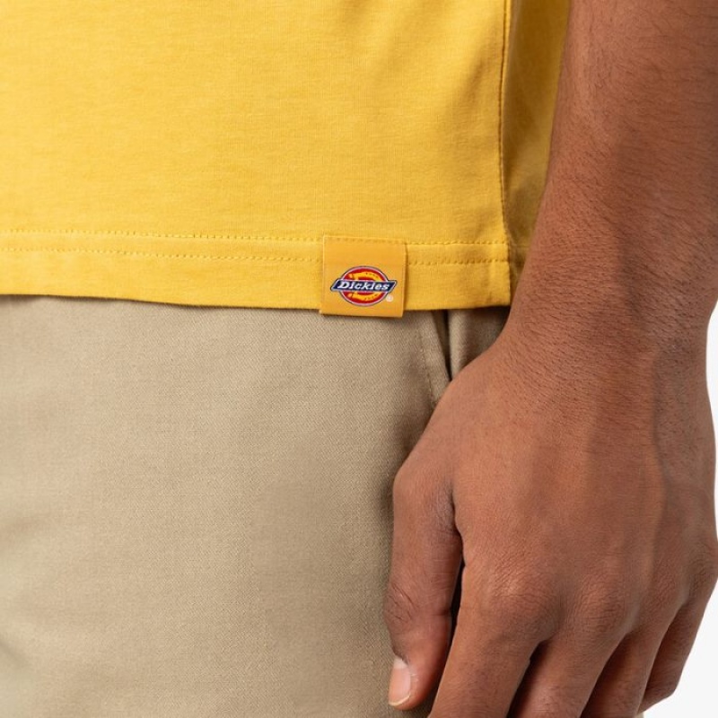 Dickies Camden Box Grafice T-Shirt Aurii | PRVD4876
