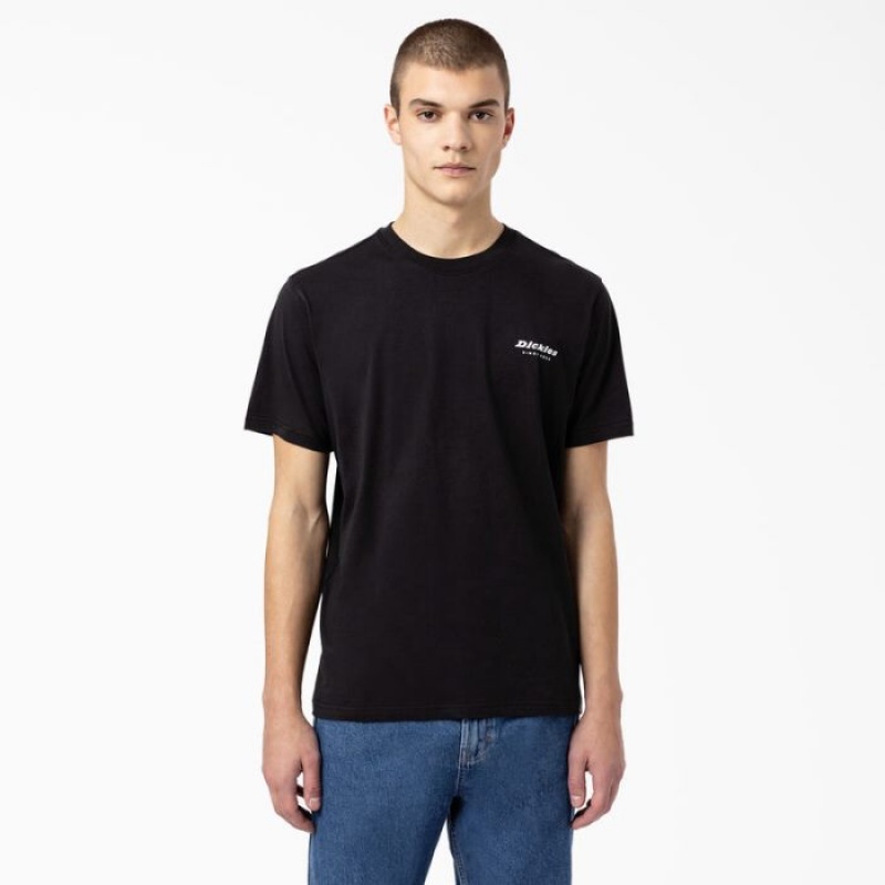 Dickies Camden Box Grafice T-Shirt Negrii | YFMW0717