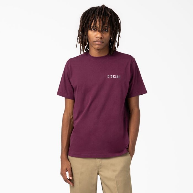 Dickies Cleveland Scurte Sleeve Grafice T-Shirt Violet Visinii | HAJJ5178