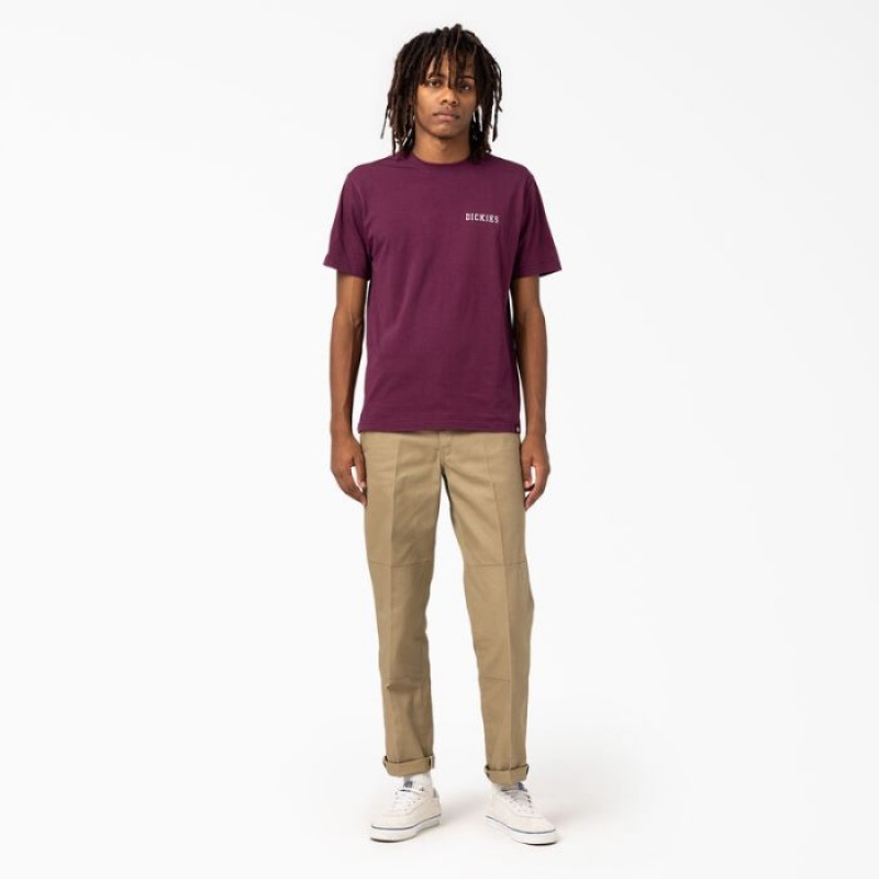 Dickies Cleveland Scurte Sleeve Grafice T-Shirt Violet Visinii | HAJJ5178