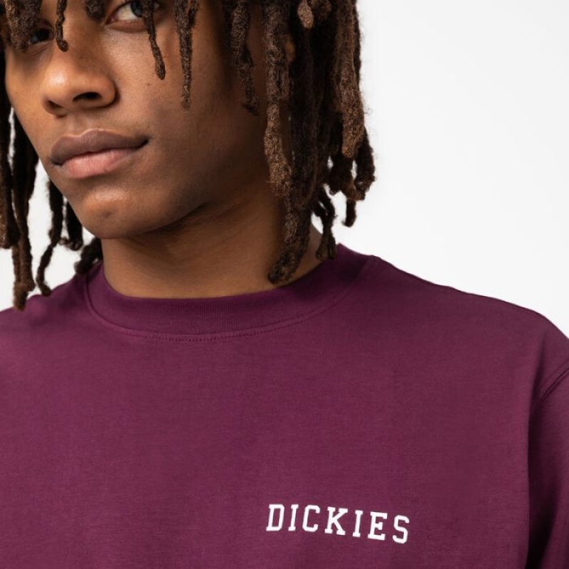 Dickies Cleveland Scurte Sleeve Grafice T-Shirt Violet Visinii | HAJJ5178