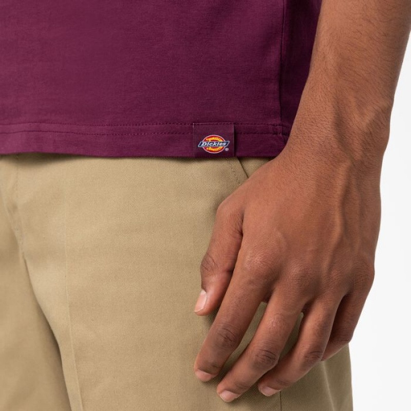 Dickies Cleveland Scurte Sleeve Grafice T-Shirt Violet Visinii | HAJJ5178