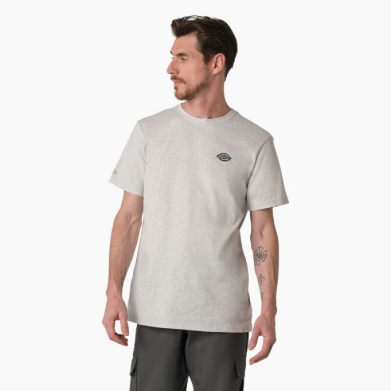 Dickies Cooling Performance Grafice T-Shirt Gri | CYLZ0276