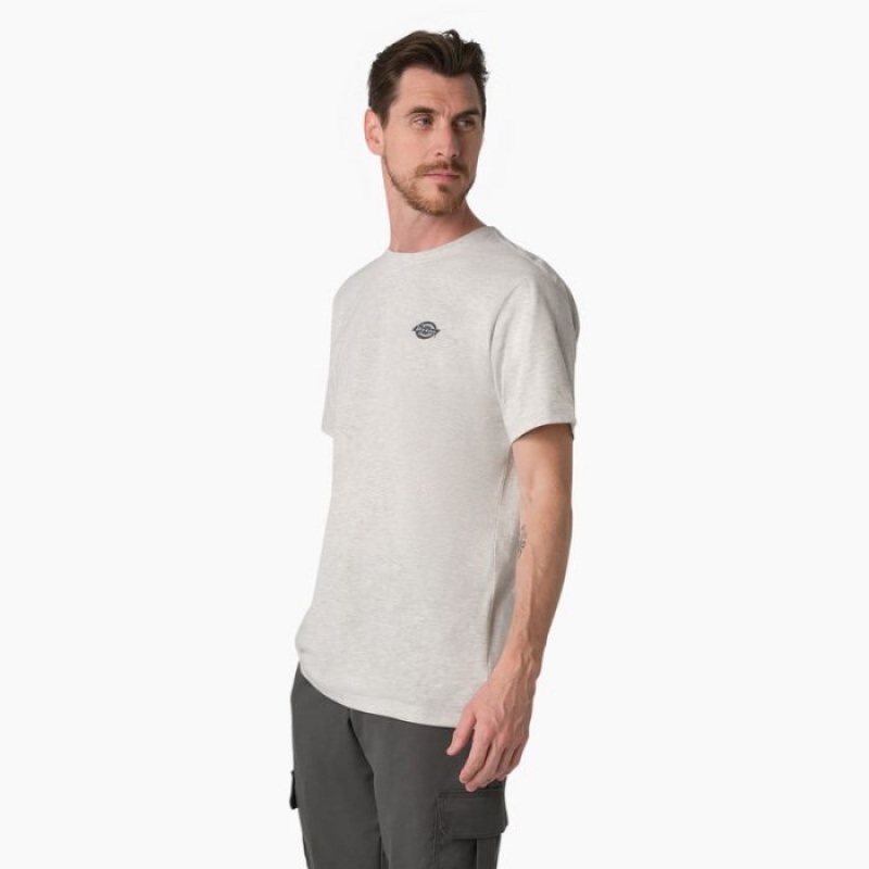 Dickies Cooling Performance Grafice T-Shirt Gri | CYLZ0276