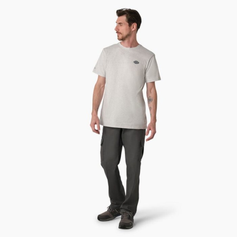 Dickies Cooling Performance Grafice T-Shirt Gri | CYLZ0276
