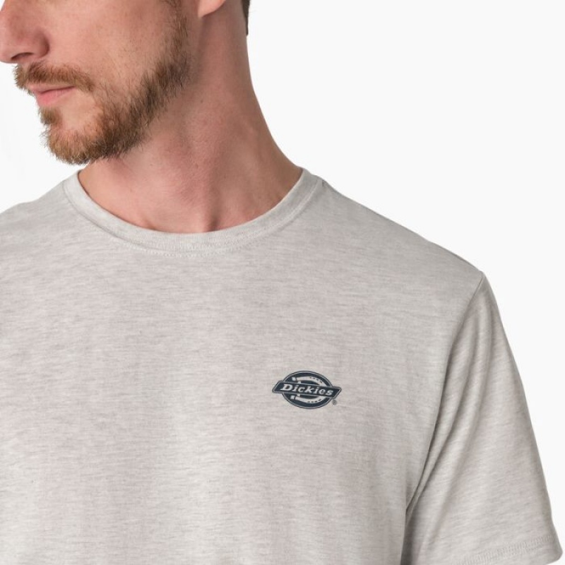 Dickies Cooling Performance Grafice T-Shirt Gri | CYLZ0276