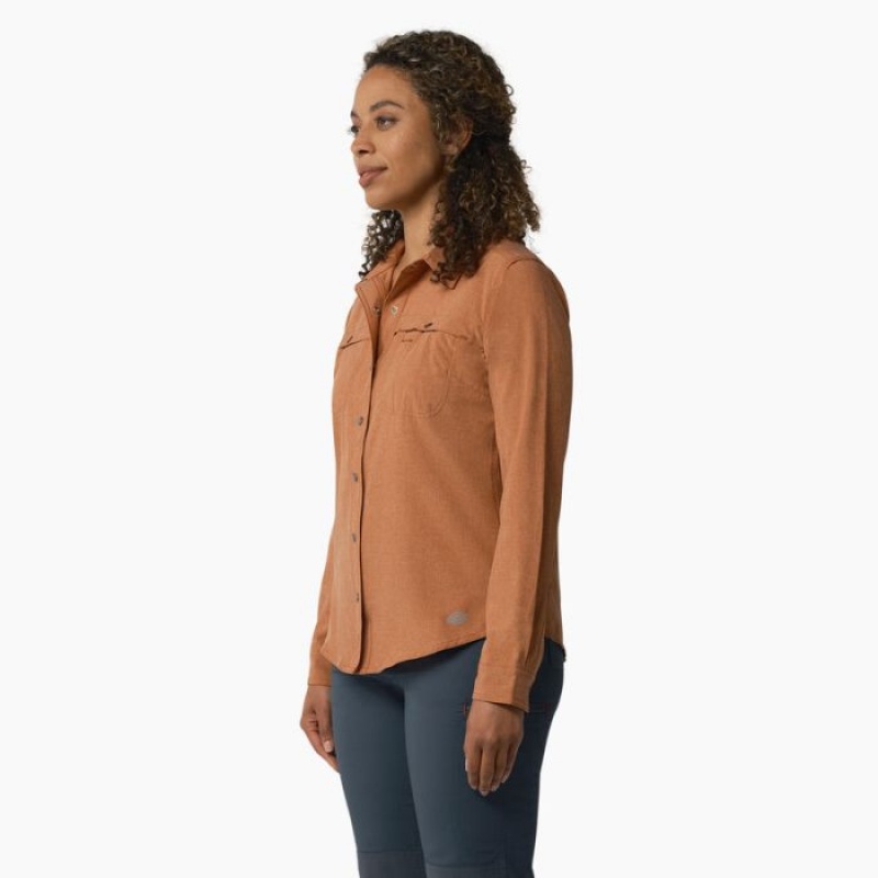 Dickies Cooling Roll-Tab Lucru Shirt Cupru | OPIA5499