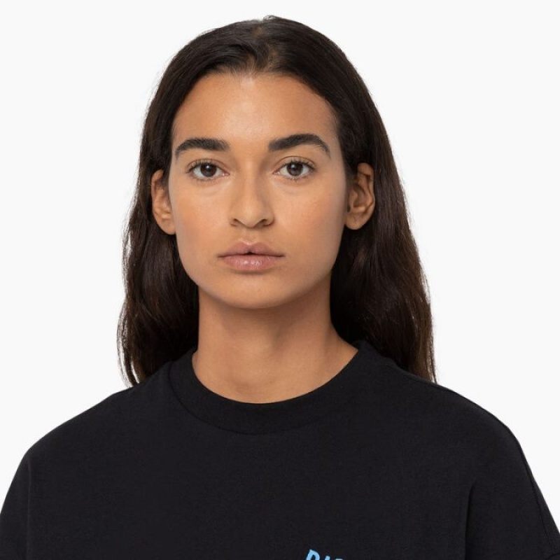 Dickies Creswell Grafice T-Shirt Negrii | THZJ6369