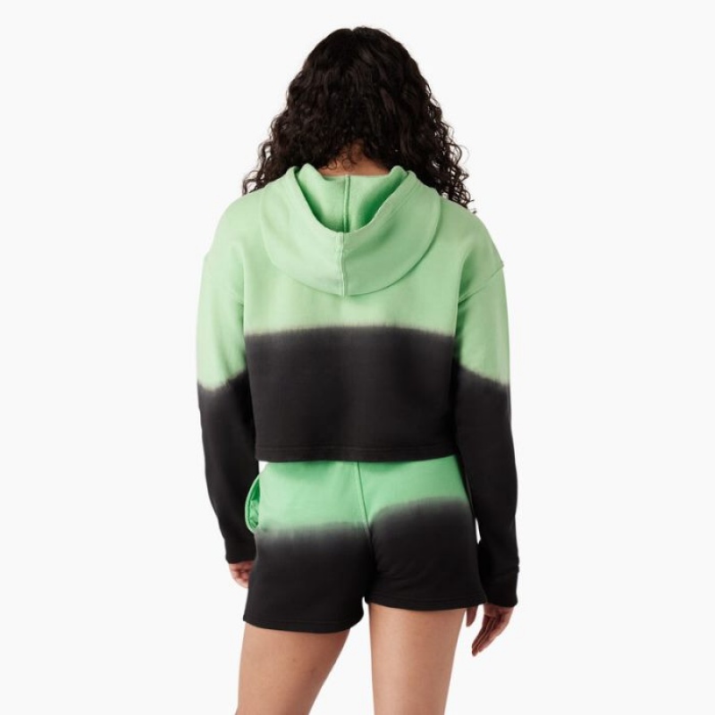 Dickies Cropped Ombre Hoodie Verde Menta Negrii | HYQP1484
