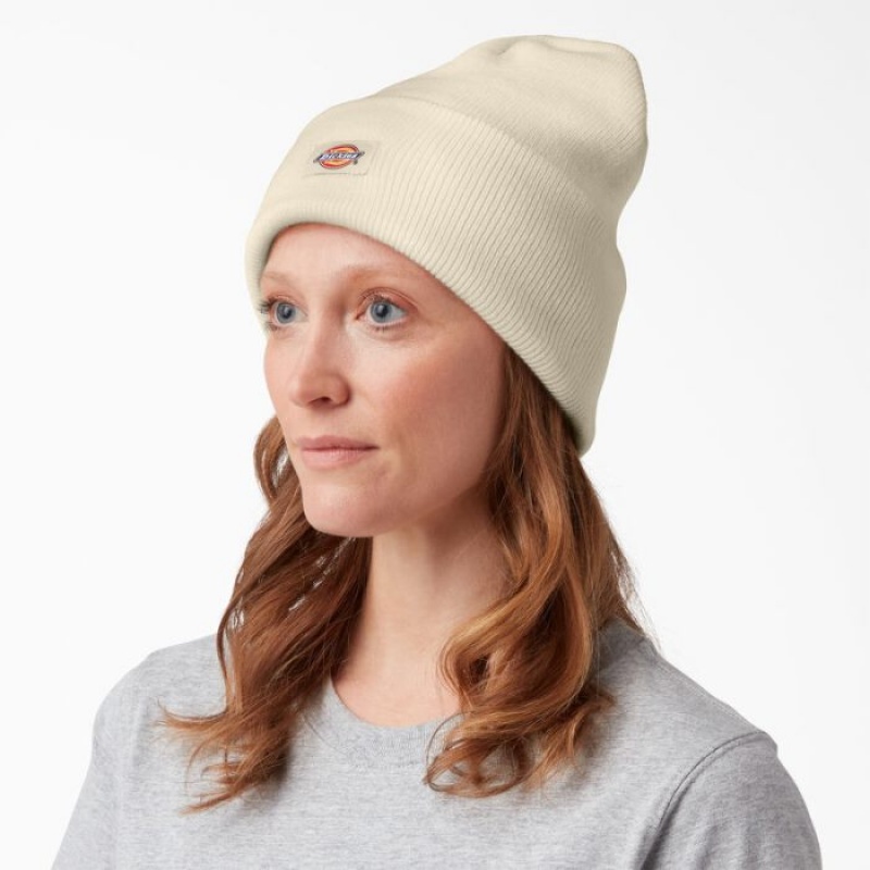 Dickies Cuffed Knit Beanie Bej | ERJF3159