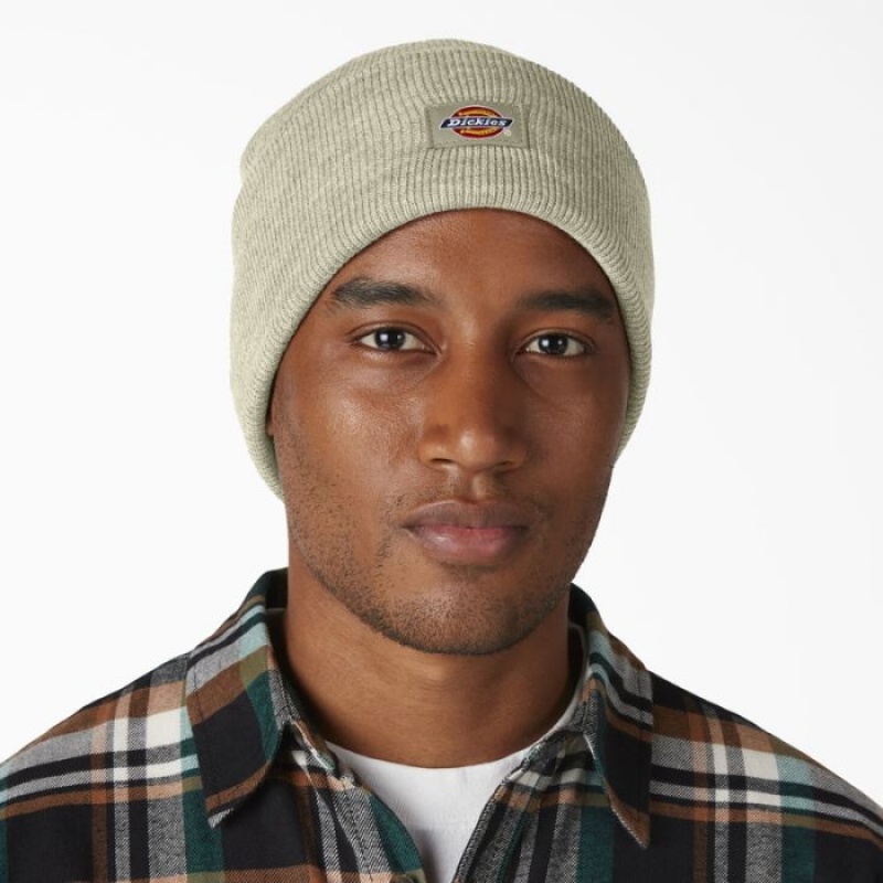Dickies Cuffed Knit Beanie Bej | IVSH8012