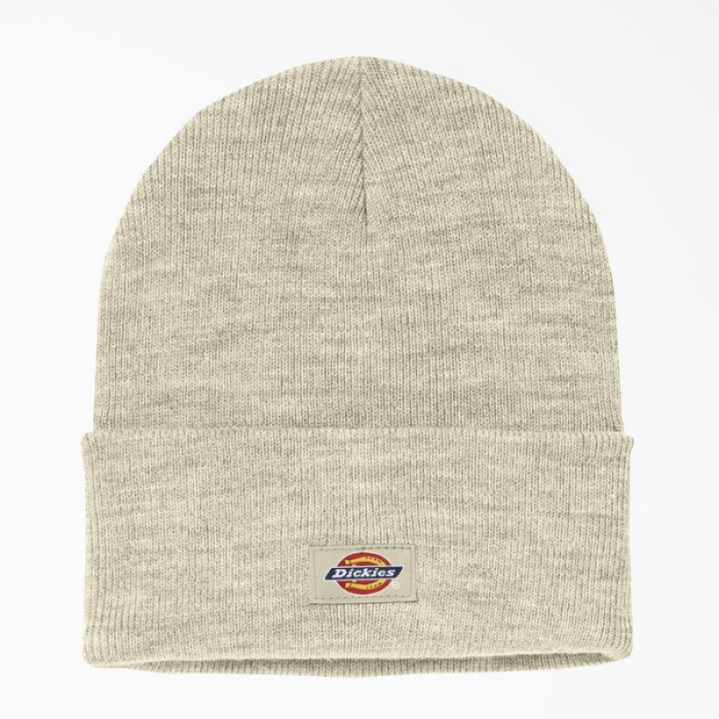 Dickies Cuffed Knit Beanie Bej | IVSH8012