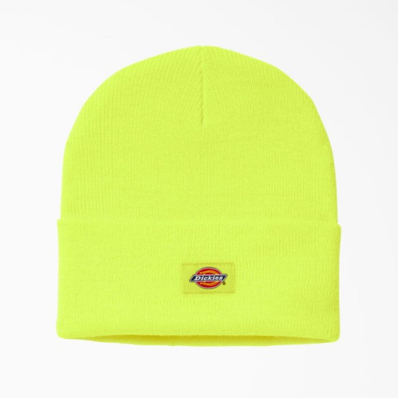Dickies Cuffed Knit Beanie Galbeni | XANX1991