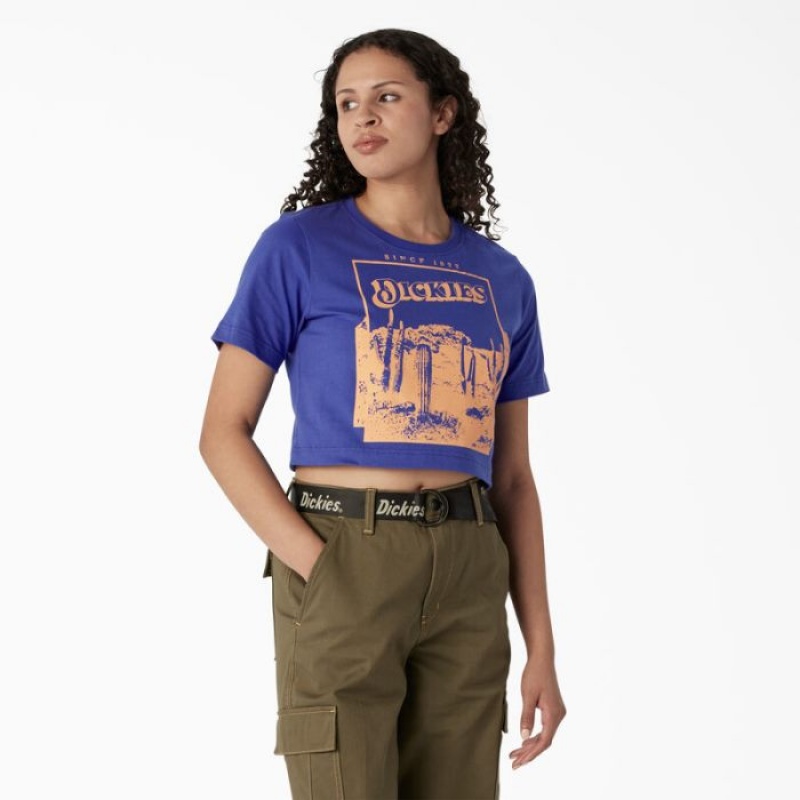 Dickies Desert Grafice Cropped T-Shirt Albastri | ASBI1752