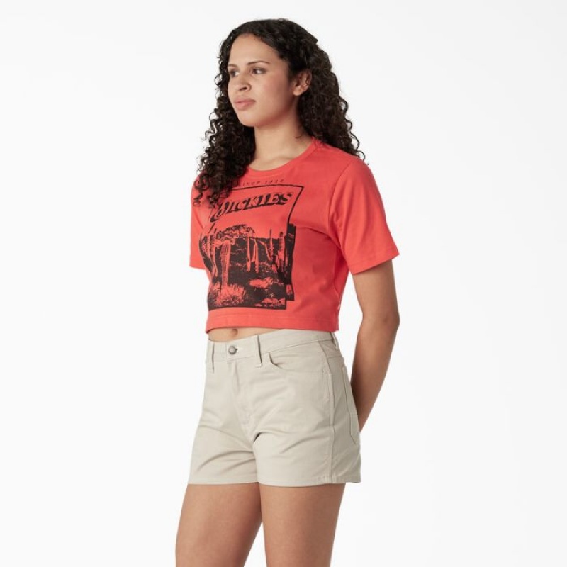 Dickies Desert Grafice Cropped T-Shirt Bittersweet | BLDD2991