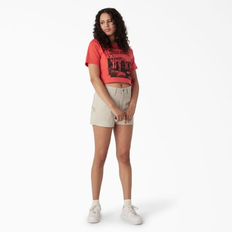 Dickies Desert Grafice Cropped T-Shirt Bittersweet | BLDD2991