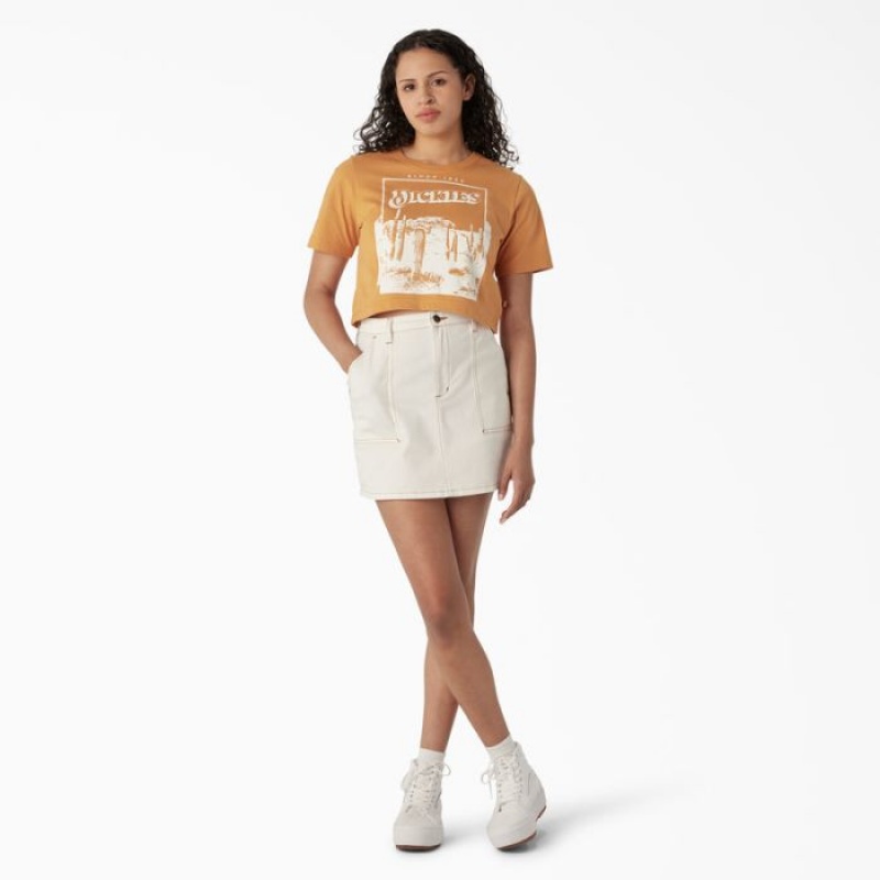 Dickies Desert Grafice Cropped T-Shirt Nugget | WGGZ5663