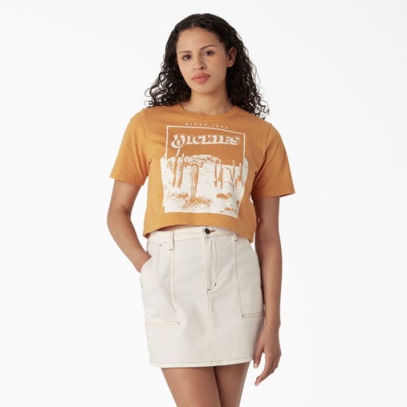 Dickies Desert Grafice Cropped T-Shirt Nugget | WGGZ5663