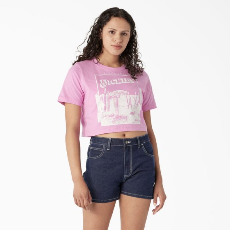 Dickies Desert Grafice Cropped T-Shirt Roz | QZYF3502