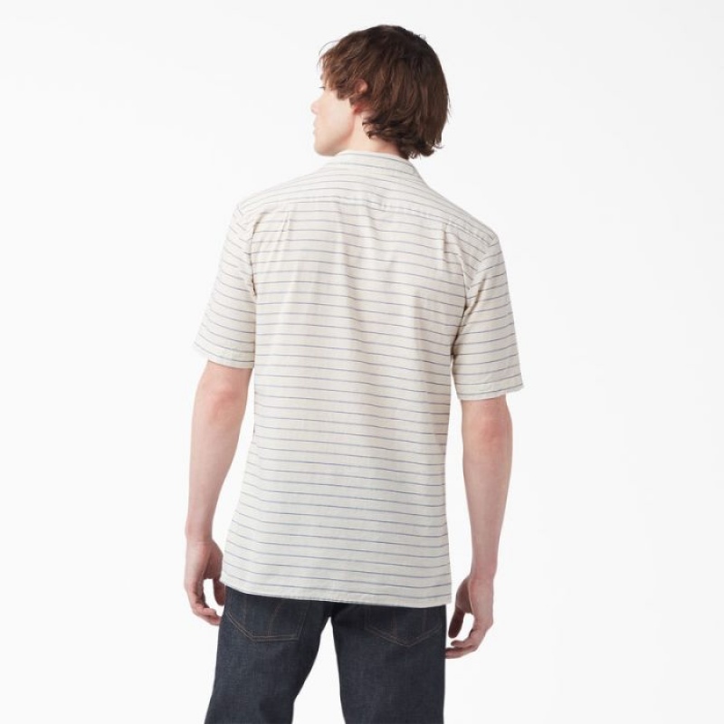 Dickies Dickies 1922 Scurte Sleeve Shirt Albastri | KIDO8003