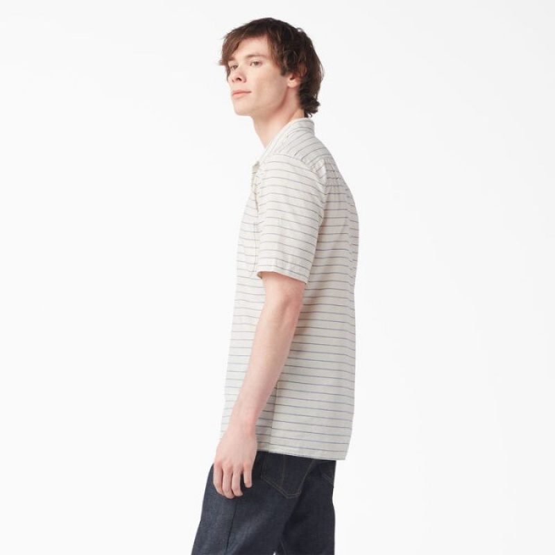 Dickies Dickies 1922 Scurte Sleeve Shirt Albastri | KIDO8003