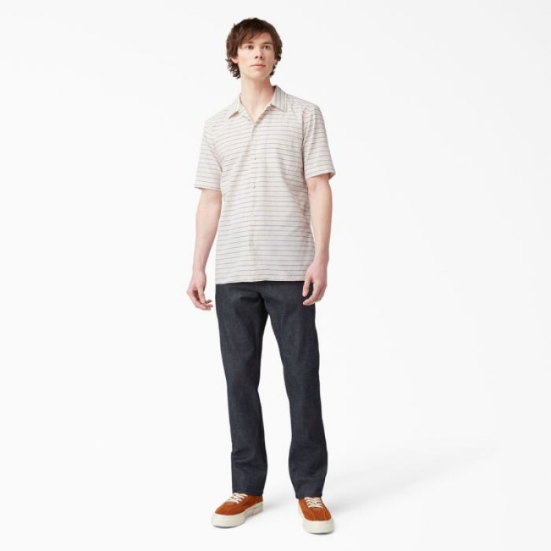Dickies Dickies 1922 Scurte Sleeve Shirt Albastri | KIDO8003