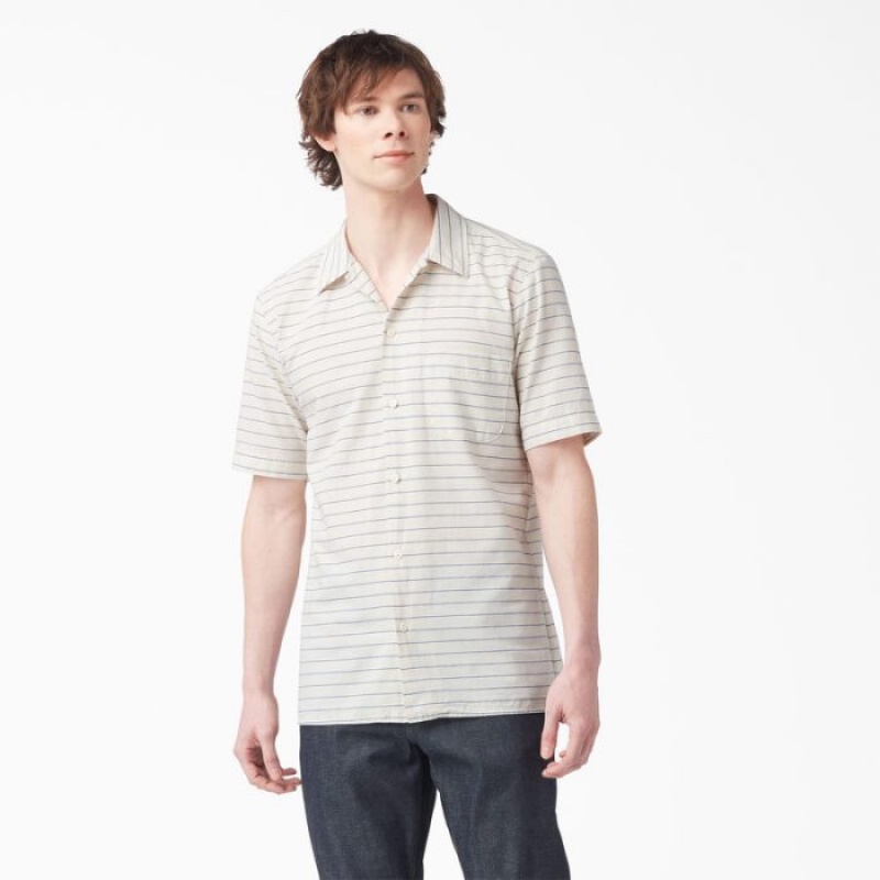 Dickies Dickies 1922 Scurte Sleeve Shirt Albastri | KIDO8003